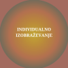 Individualno izobraževanje