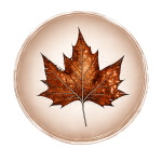 Logo javorjev list vektorska ChatGPT Image May 11, 2026, 10 04 20 AM